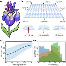 Iris Results